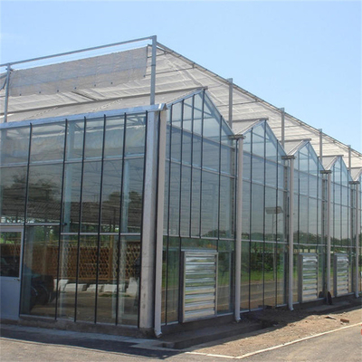Type de Venlo de panneau de verre trempé serre chaude Multispan pour des légumes hydroponiques