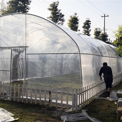 Tunnel d'envergure de culture de légumes haut d'agriculture simple de serre chaude pour des jeunes plantes