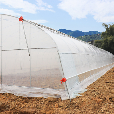 Tunnel d'envergure de culture de légumes haut d'agriculture simple de serre chaude pour des jeunes plantes