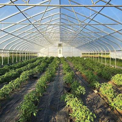 Serre chaude en plastique de tunnel de fraises de tunnel agricole en plastique de ferme avec le système de ventilation