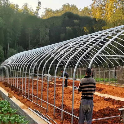 Serre chaude simple d'envergure de tunnel en plastique agricole pour la fraise