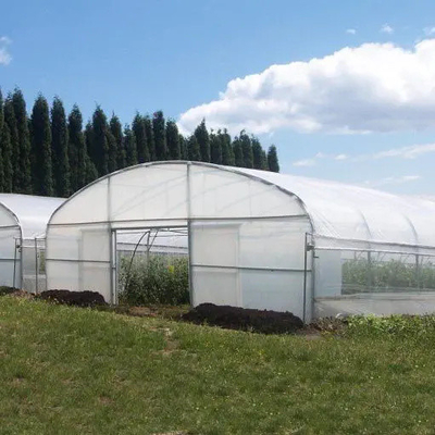 Serre chaude en plastique agricole de cercle de serre chaude de tunnel pour s'élever végétal