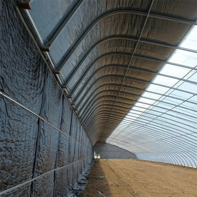Tunnel simple solaire passif de feuille de plastique de serre chaude d'hiver de secteur froid