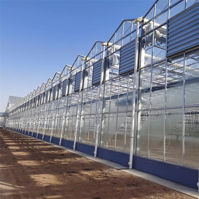 Culture agricole d'usines de serre chaude multi en verre commerciale d'envergure