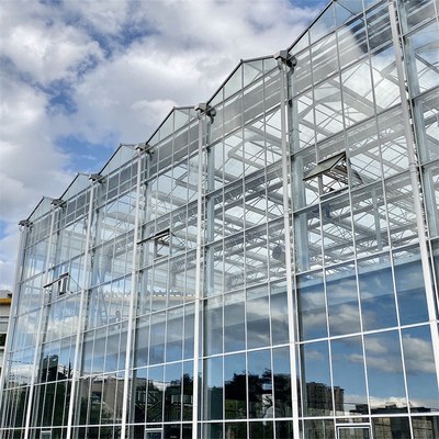 Serre chaude en verre de Venlo de bâche en verre galvanisée par envergure multi de cadre en acier