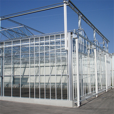 Serre chaude néerlandaise professionnelle en verre extérieure industrielle de Multispan en verre de serre chaude de fleur d'agriculture pour la plantation de fleur
