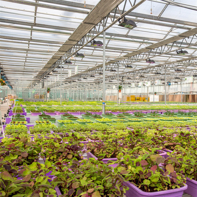 Serre chaude en verre d'hiver de Venlo de pièces de rechange de serre chaude de système de chauffage Serra Di Vetro Multi-Span Greenhouse Venlo