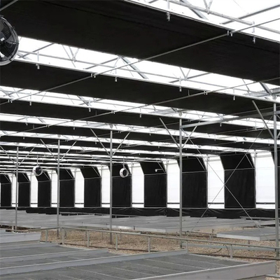 Le projet clés en main Etats-Unis percent un tunnel l'élevage agricole d'usine de serre chaude automatique de panne d'électricité