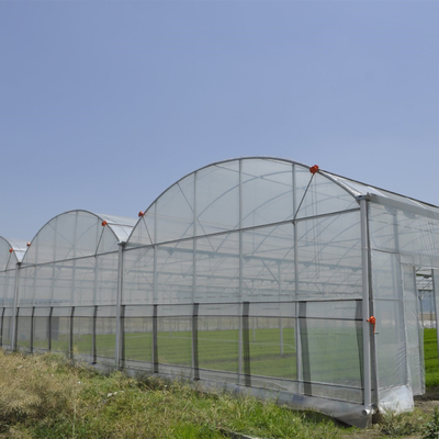 Serre chaude en plastique d'anti d'insecte tunnel hydroponique multi net d'envergure pour le légume