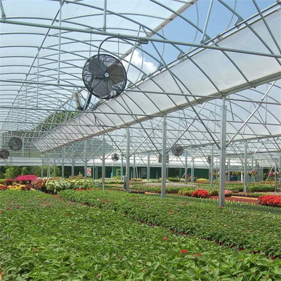 Serre chaude multi hydroponique d'envergure de feuille en plastique ronde de tunnel pour la plantation de fleurs