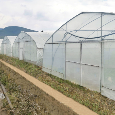 Serre chaude hydroponique de tunnel de feuille de plastique de voûte de cadre en acier de système poly pour la tomate