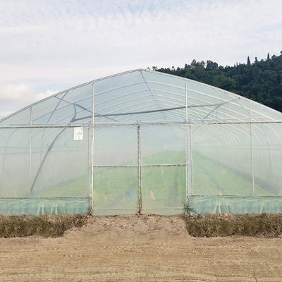 Serre chaude hydroponique de tunnel de feuille de plastique de voûte de cadre en acier de système poly pour la tomate