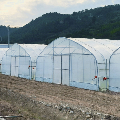 Serre chaude hydroponique de tunnel de feuille de plastique de voûte de cadre en acier de système poly pour la tomate