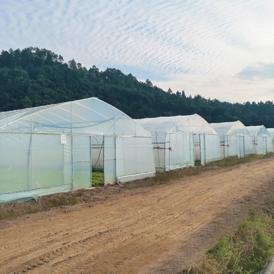 Construction hydroponique de serres chaudes d'agriculture de feuille de plastique de Simple-envergure de système à vendre