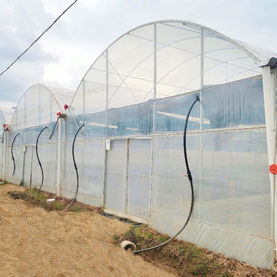 Les projets clés en main ont installé les serres chaudes agricoles de plastique de feuille de Multi-envergure hydroponique commerciale de Chambre verte
