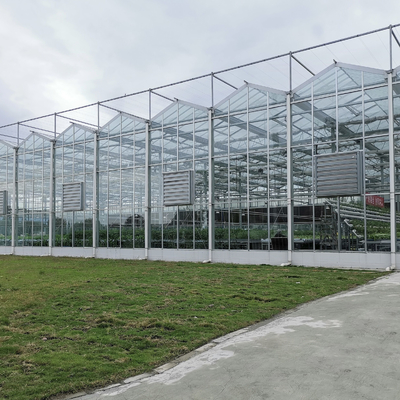 Serre chaude en verre d'hiver de Venlo de pièces de rechange de serre chaude de système de chauffage Serra Di Vetro Multi-Span Greenhouse Venlo