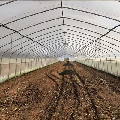 Mètres en acier galvanisés du tunnel 30 x 10 de serre chaude d'envergure de serre chaude de film de pe de cadre seuls