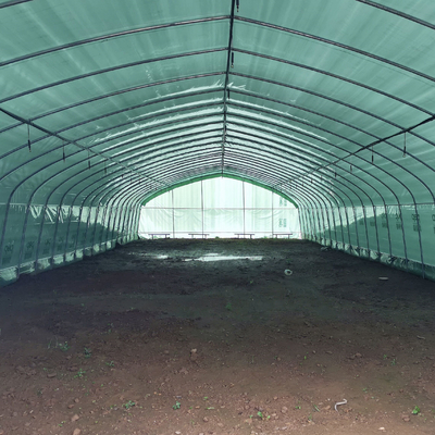 Noir simple Mesh Mushroom Cultivation In Greenhouses de serre chaude d'envergure de double couche