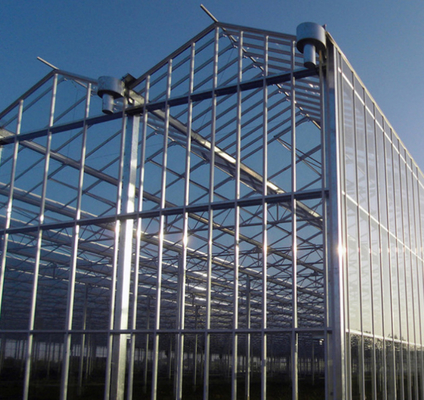 Verre industriel en polycarbonate à planche creuse en extérieur en verre multispan professionnel Serre néerlandaise pour la plantation de fleurs