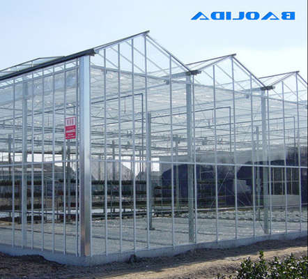 Structure forte élevée ISO9001 de serre chaude en verre de grande taille de Venlo