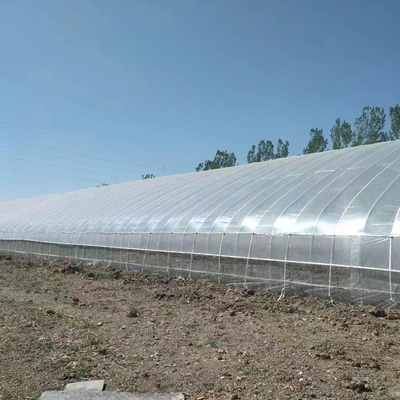 Serre solaire passive en film plastique avec support de collecte d'eau de pluie