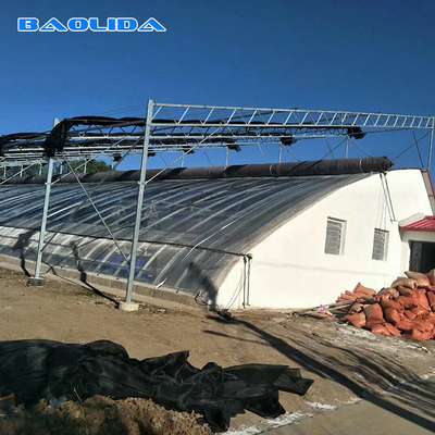 Serre solaire passive à cadre en acier avec système d'irrigation automatique