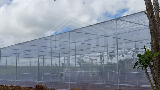 Taille de stockage bon marché Ventilation en plastique pour les zones tropicales Serre rectangulaire avec filet d'ombrage