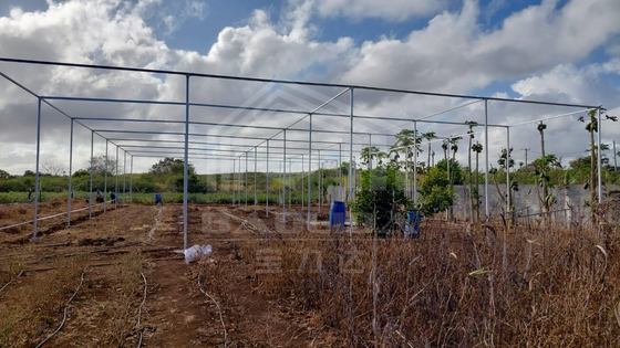 Étagère rectangulaire en acier à bas prix avec filet d'ombrage pour les zones tropicales