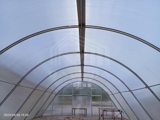 Serre en polycarbonate facilement assemblée pour un séchage efficace des plantes avec une protection personnalisée contre les rayons UV