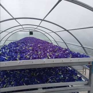Serre à séchage solaire à base de polycarbonate en acier galvanisé à chaud avec structure stable à l'intérieur