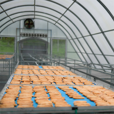 Serre de séchage de poisson en polycarbonate personnalisable avec protection UV et structure stable