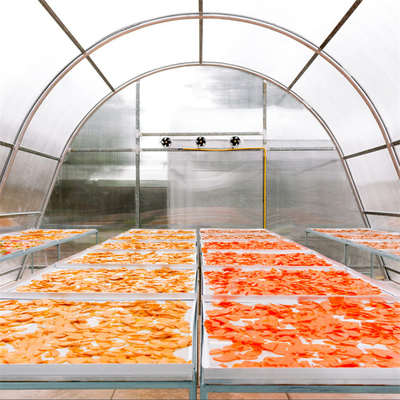 Serre de séchage de poisson en polycarbonate personnalisable avec protection UV et structure stable