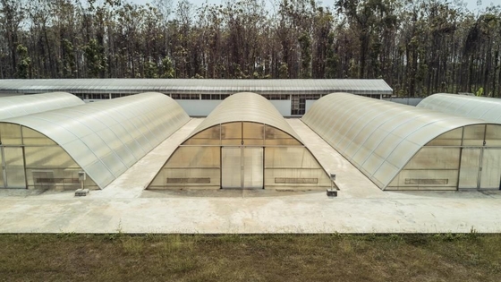 Sécheuse solaire en polycarbonate protégée UV personnalisée Serre avec système d'ombrage à l'extérieur à l'intérieur