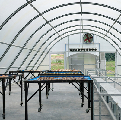 Serre à séchage solaire en polycarbonate sur mesure avec protection UV pour le séchage des plantes et des aliments
