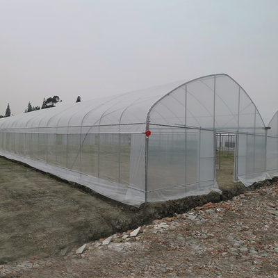 Résistant au vent UV Nethouse Serre contrôleur environnemental Serres à longue portée