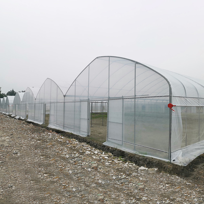 Résistant au vent UV Nethouse Serre contrôleur environnemental Serres à longue portée