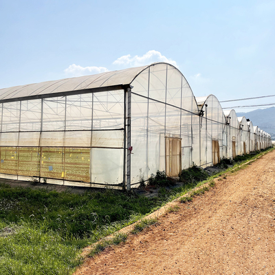 Résistant au vent UV Nethouse Serre contrôleur environnemental Serres à longue portée