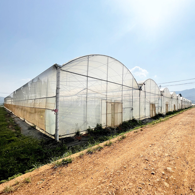 Résistant au vent UV Nethouse Serre contrôleur environnemental Serres à longue portée