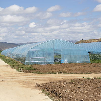 Vente à chaud Serre poly-tunnel à fraises Serre agricole à une seule étendue pour la culture des fraises