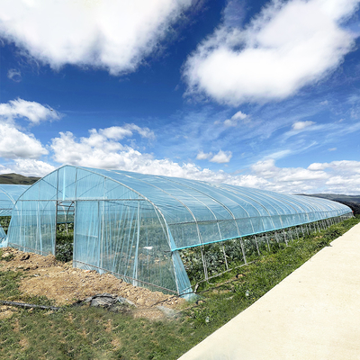 Vente à chaud Serre poly-tunnel à fraises Serre agricole à une seule étendue pour la culture des fraises