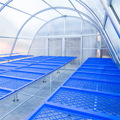 Livraison rapide 8*26 mètres séchoir solaire unique Serre séchage alimentaire Serre séchée solaire