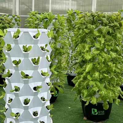 Système de culture hydroponique de la tour de Growart