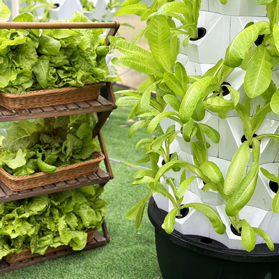 65L 6 couche 48 trous de plante Système hydroponique de goutte à goutte de tour Personnaliser le nombre de couches pour l'efficacité