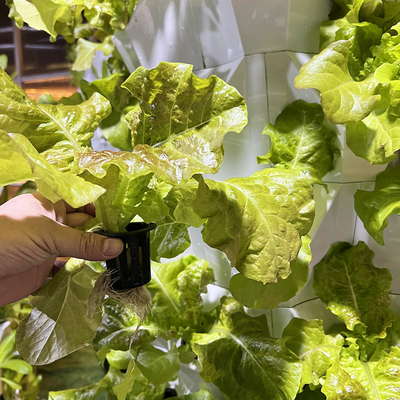 65L 6 couche 48 trous de plante Système hydroponique de goutte à goutte de tour Personnaliser le nombre de couches pour l'efficacité