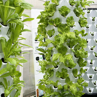 65L 6 couche 48 trous de plante Système hydroponique de goutte à goutte de tour Personnaliser le nombre de couches pour l'efficacité