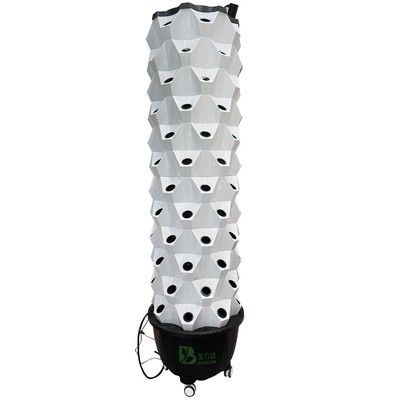 Lumières de croissance en ligne visible avec un cycle de 1 à 23 heures (un cycle de 24 heures)