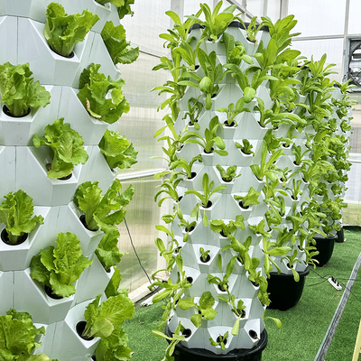 Personnalisez votre nombre de couches Agriculture verticale avec système hydroponique à goutte à goutte