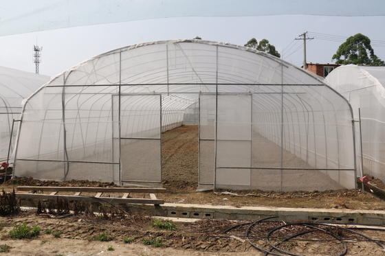 Envergure de Polytunnel Sri Lanka Colombo Steel Frame Greenhouse Single