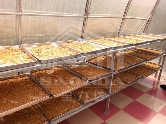 Piments de panneau de polycarbonate séchant le dessiccateur solaire de serre chaude pour des fruits de légumes