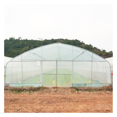Serre chaude stable de pellicule de polyéthylène de structure/serre chaude végétale de plante de tomate